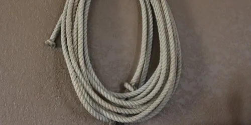 Catch him und keep him symbolisiert durch ein Lasso