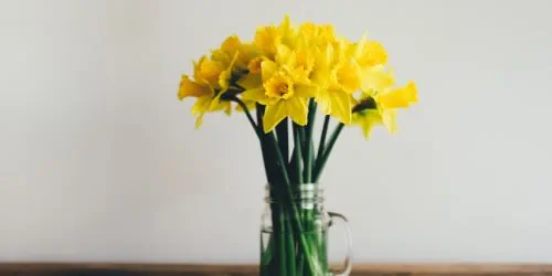 Streit in der Partnerschaft - Streiten will gelernt sein