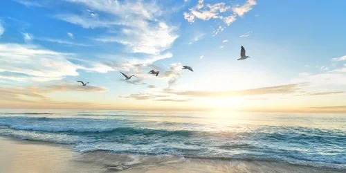 Zweite Chance für den untreuen Partner